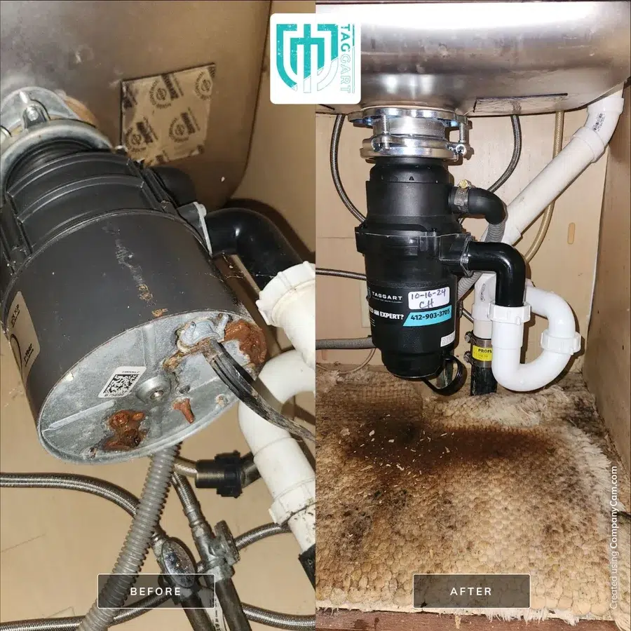 garbage disposal before and after
