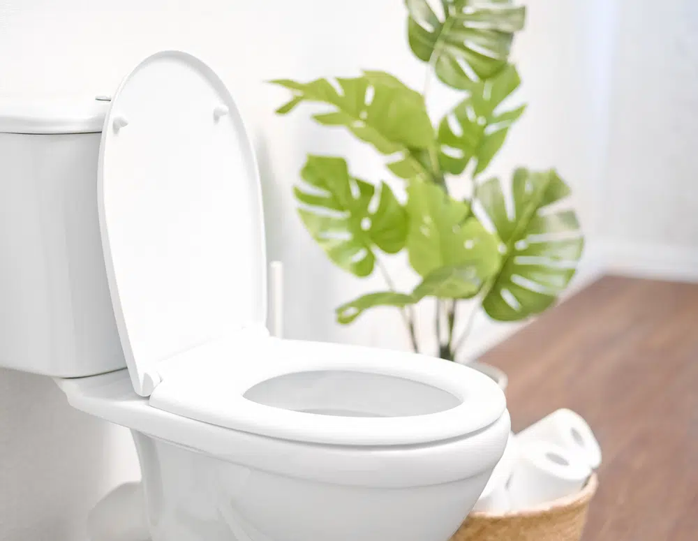 Toilet in residential bathroom in Pittsburg, PA.